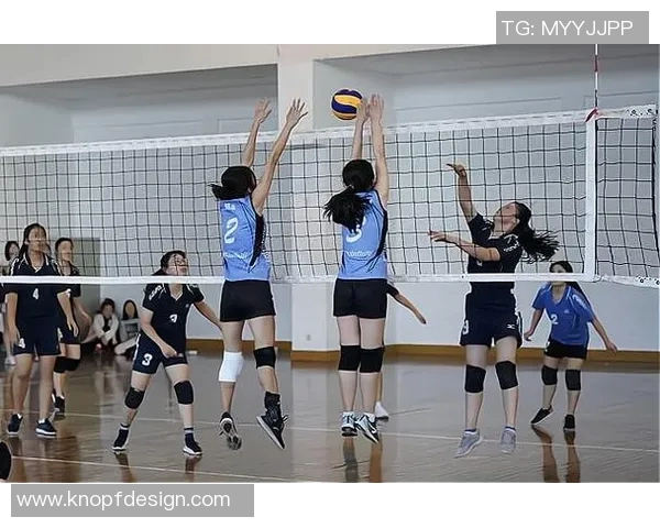 成都排球队的节奏革新探索与实践引领未来发展新方向