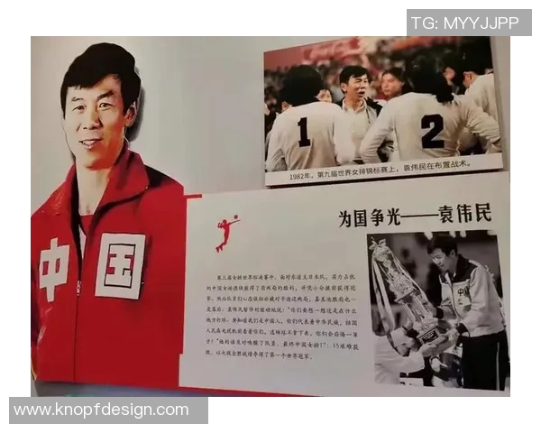 深圳排球队团队协作的变革与热议背后的故事与启示