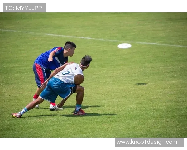 深圳飞盘队实力解析：探索这支新兴团队的成长与挑战