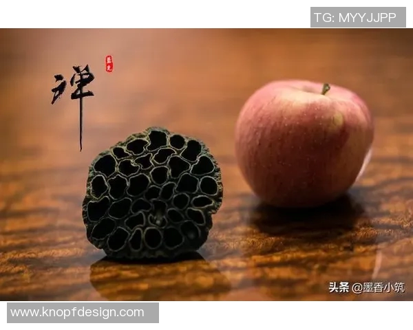 深度对话王芳排球人生的起伏与坚持背后的故事分享