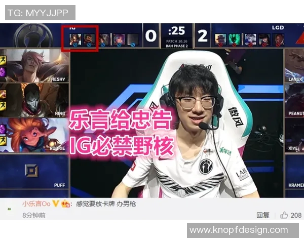 职业联赛分析：IG战队个人能力的全面评估与表现探讨