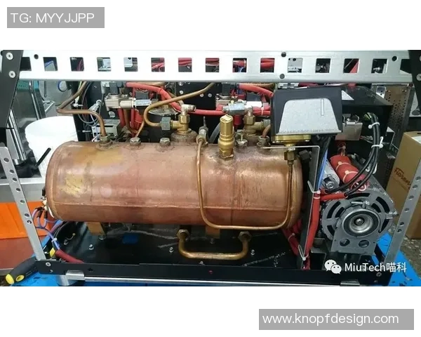 赵秀英专访揭秘篮球成功秘诀与成长历程分享