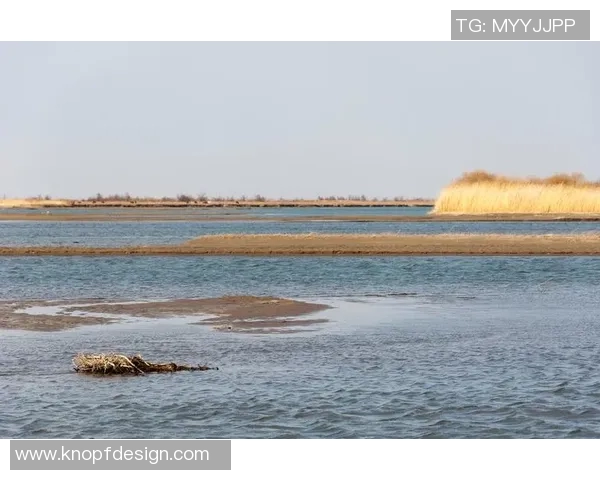 哈德森的魅力探秘：一场关于自然与人文的奇妙旅程