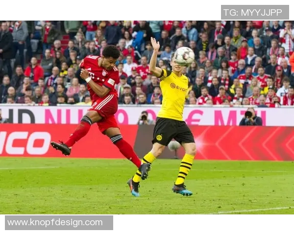 拜仁与多特精彩对决直播现场全程回顾与分析