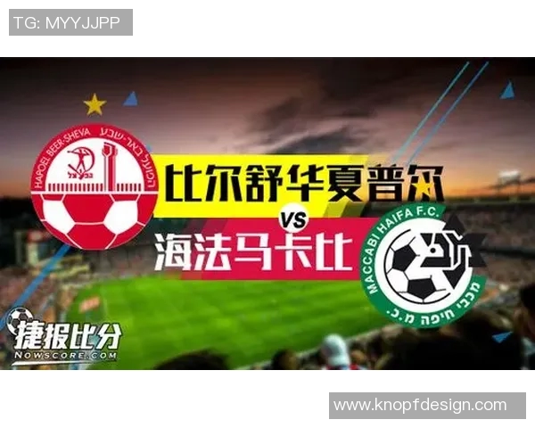 海法夏普尔与夏普尔的精彩对决分析与赛季表现对比