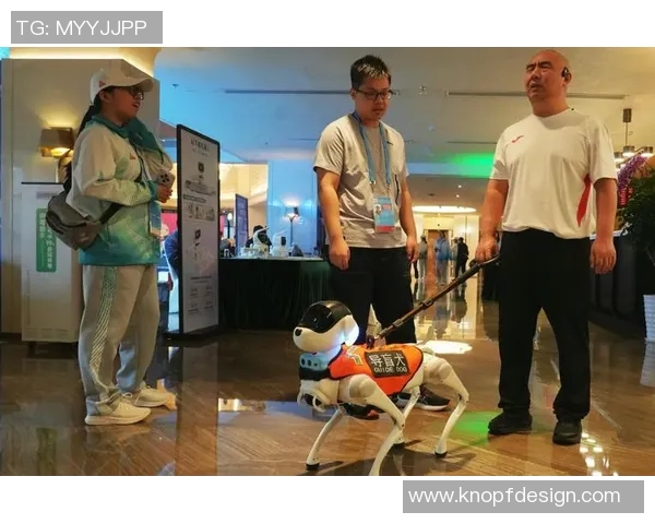 特奥精神传承与发展探讨促进残障人士全面参与社会生活