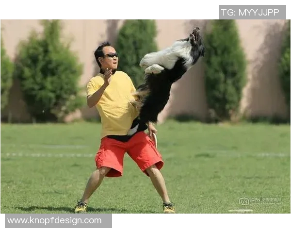 重庆飞盘队在极限运动世界杯中的精彩表现与实力分析