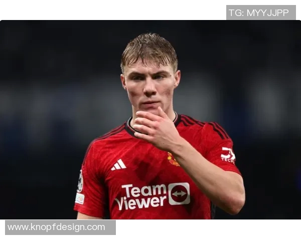 霍伊伦的传奇人生与不凡成就探秘之旅