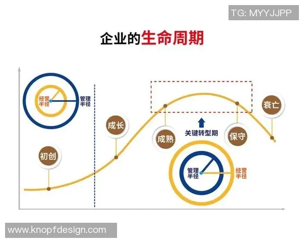 代怀博的成长之路与未来发展展望：从初创到行业领军的蜕变历程
